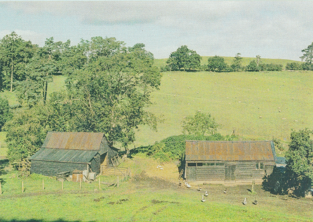 Barns