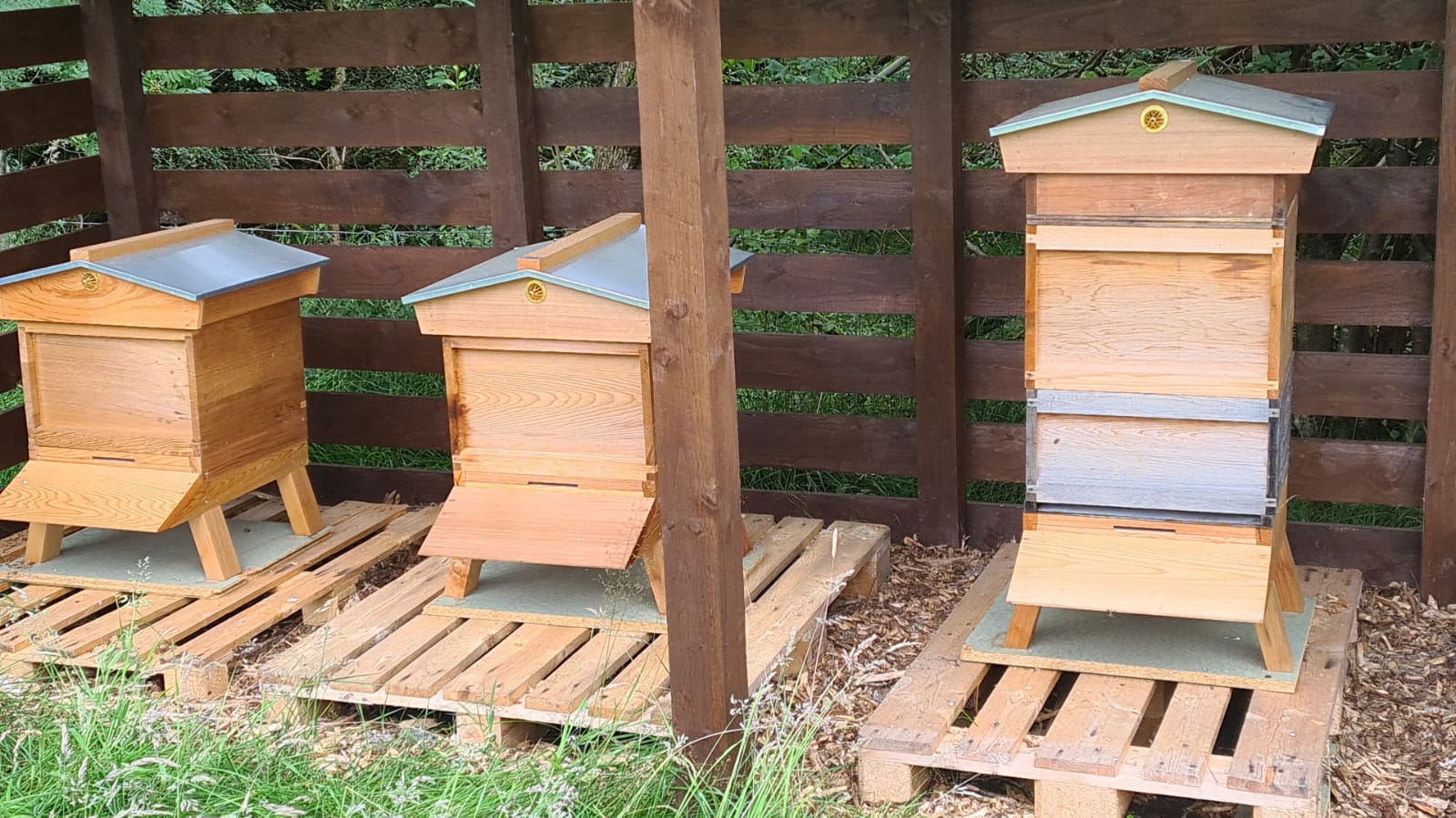 hives