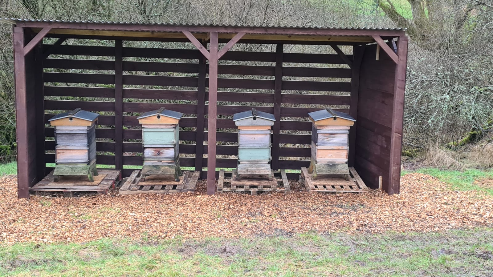 hives