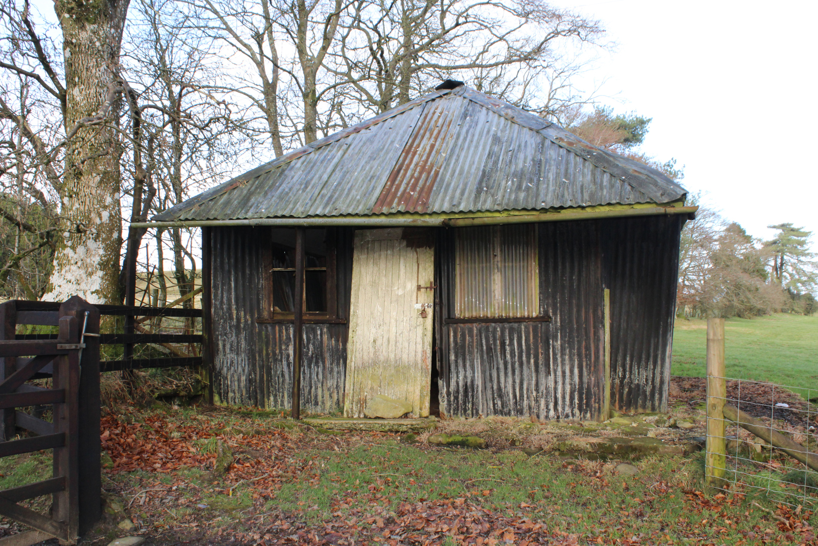 Barn-12-2019