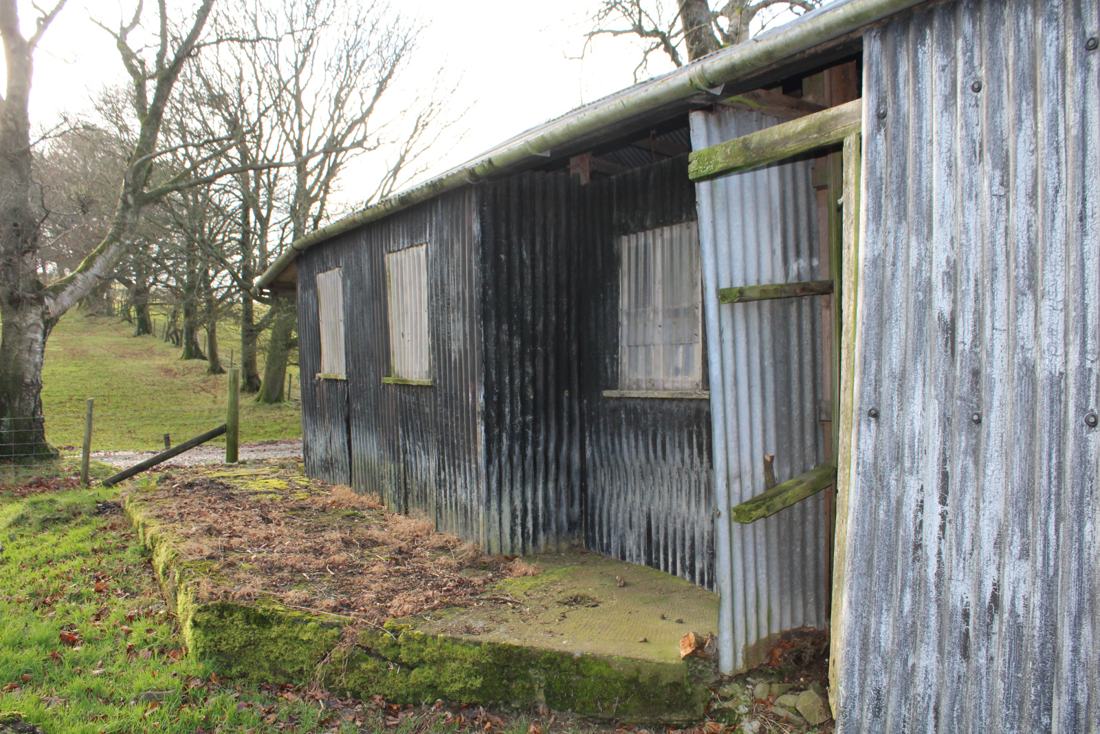 Barn-12-2019